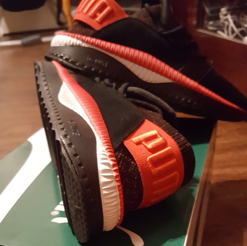 Pumas